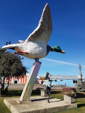World's largest mallard duck statue